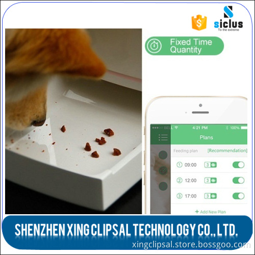 Automatic Smart Pet Feeder For Dogs and Cats with WIFI, Camera, Video